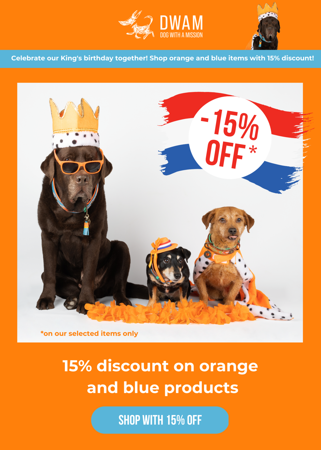 Discount dog clearance products